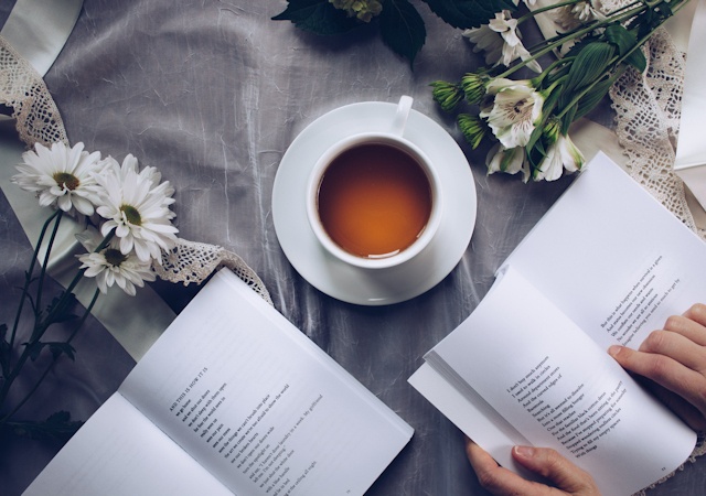 Membudayakan Baca Buku, Bukan Pajang Buku