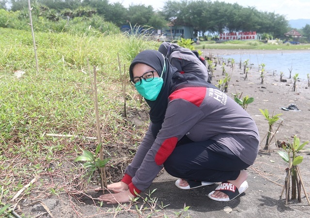 TBMM HUMERUS Tanam 1000 Bibit Mangrove