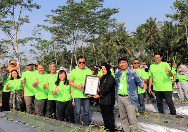 UII Pecahkan Rekor MURI Penanaman Ribuan Bibit Habbatussauda