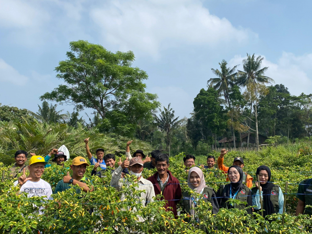 PPK Ormawa Jafana UII Studi Banding Budidaya Cabai di Turi